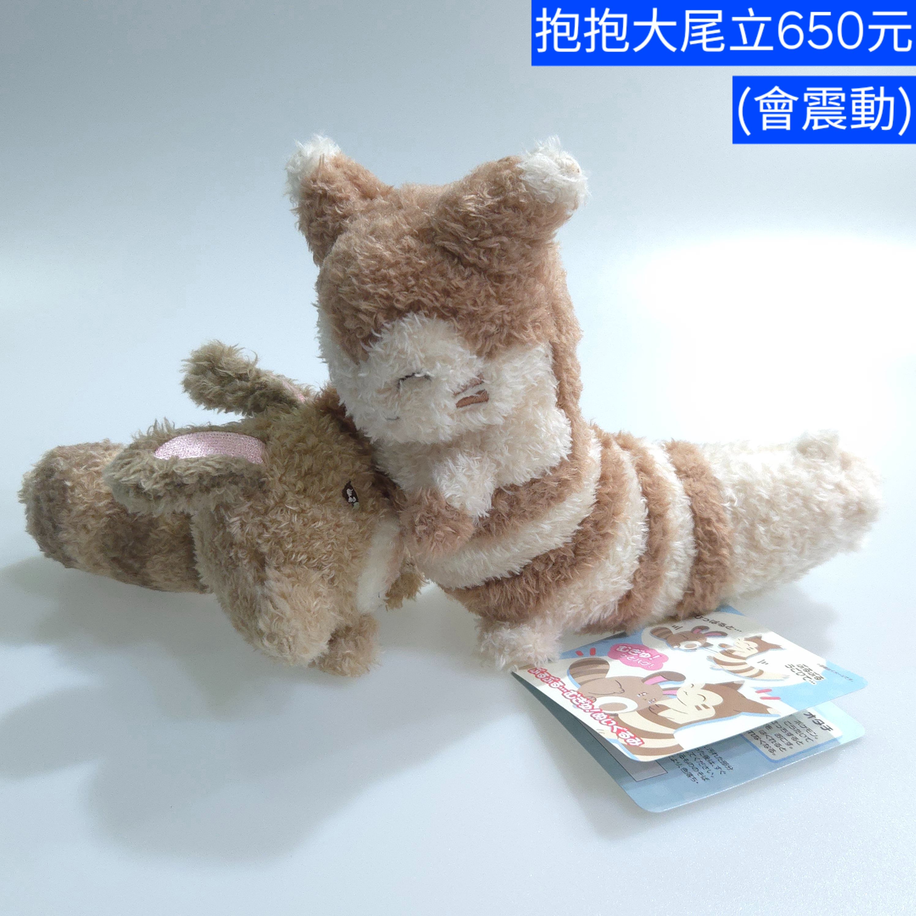 絨毛玩偶 抱抱系列 日本寶可夢中心原創商品 原價3300円