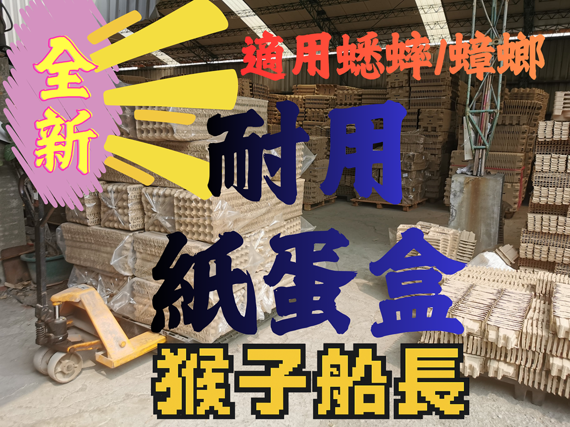 耐用蛋盒/蟋蟀飼養套組（大套組/請勿合併其他商品/滿箱）