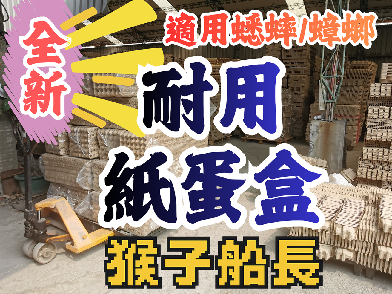 耐用蛋盒/蟋蟀飼養套組（大套組/請勿合併其他商品/滿箱）