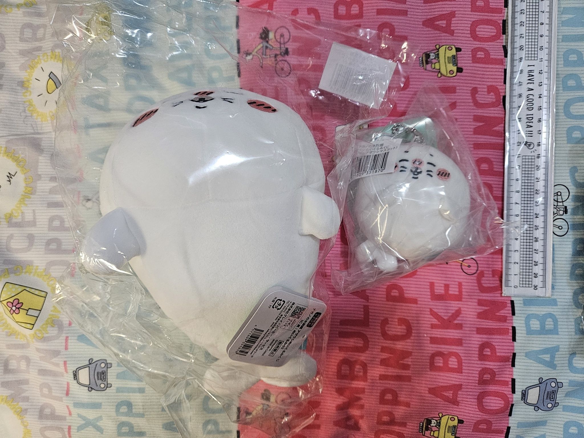 ナガノ小海豹一番賞