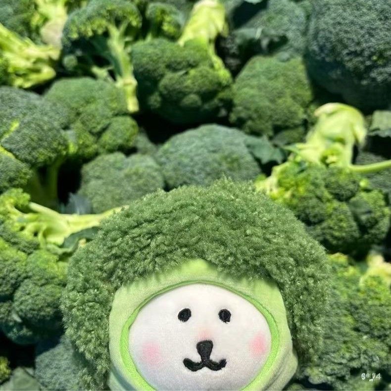 10cm蔬菜西藍花努努體棉花娃娃 海星體chiikawa娃衣頭套掛件可愛