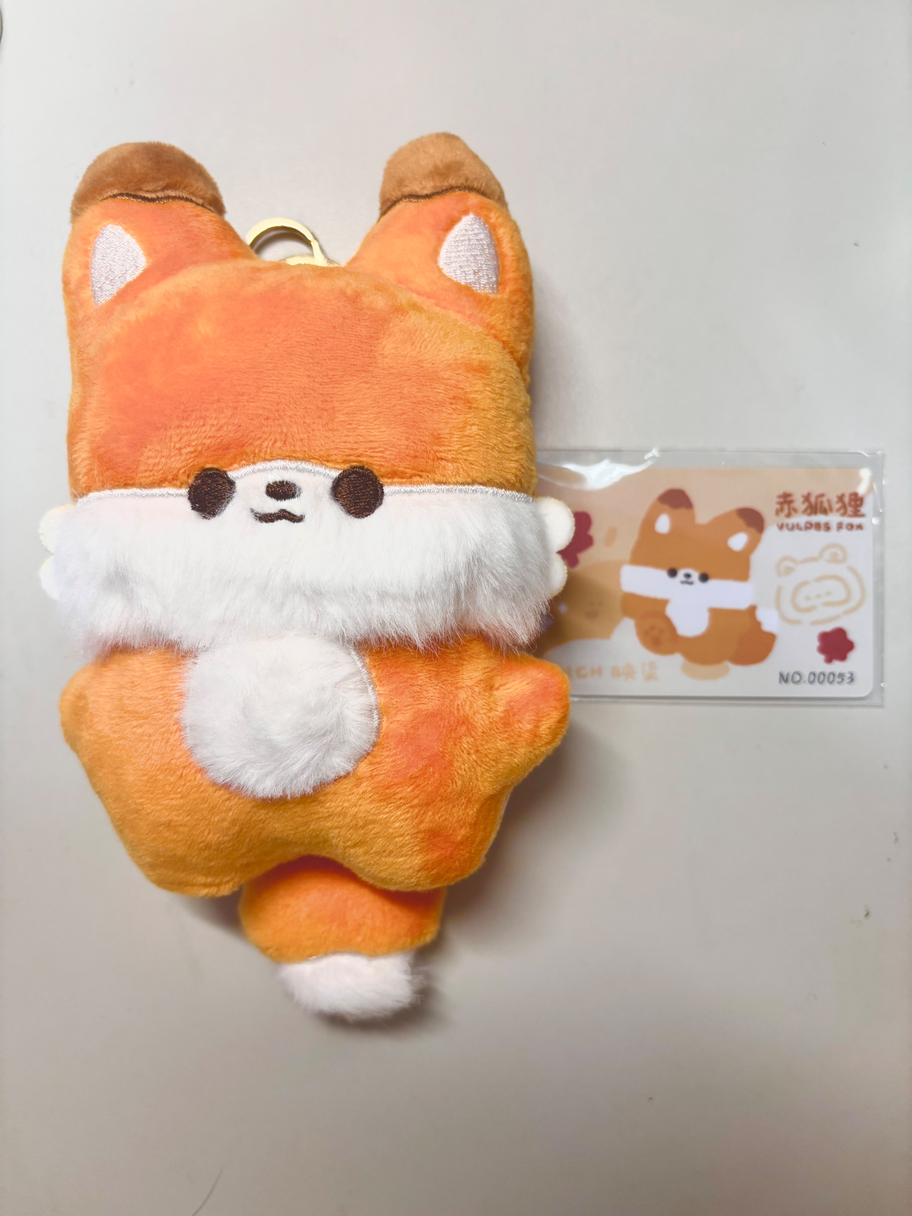 各種狐狐