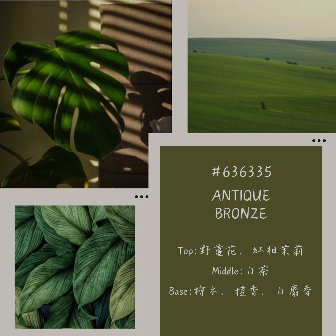 #636335 - 彩。淡香精系列