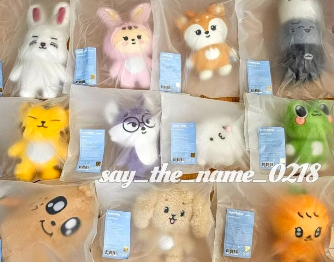 Miniteen/成員自製