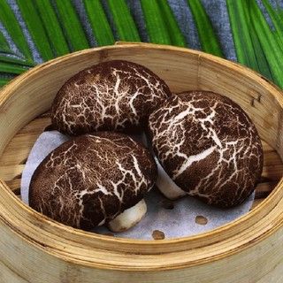 [魚武]珍菇流沙包10粒（芝麻） /899免運/7-11店到店/07004