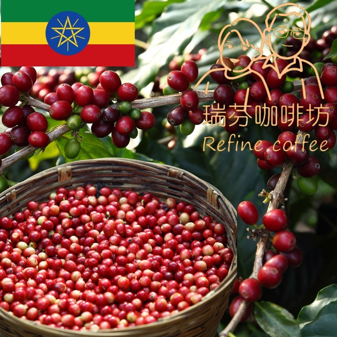 【衣索匹亞】粹選莊園濾掛式咖啡30~50元 耶加 西達摩