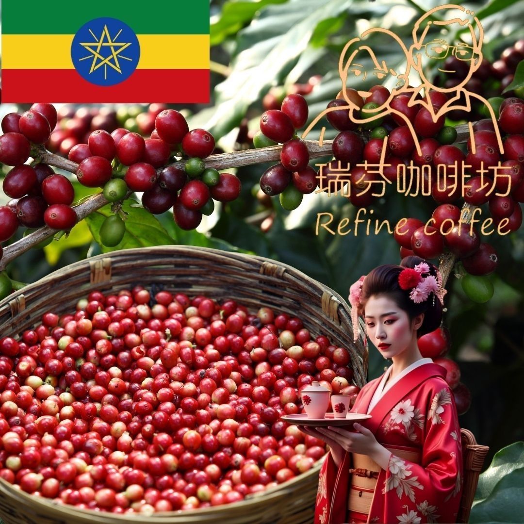 【衣索匹亞】莊園粹選 藝妓Gesha 濾掛式咖啡