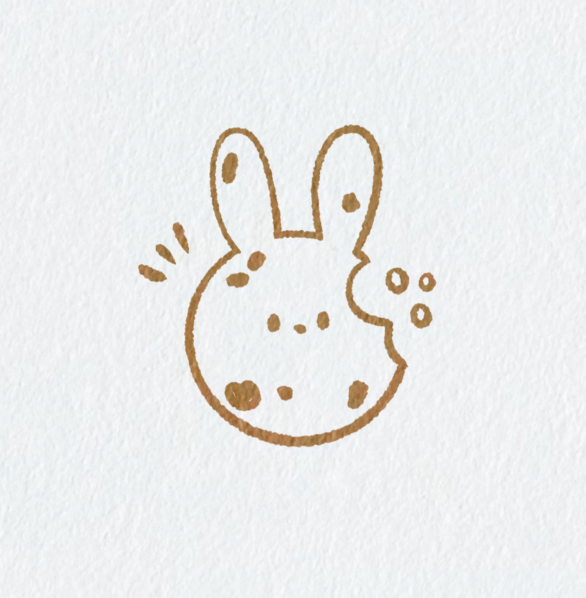 綜合組🐰🐻