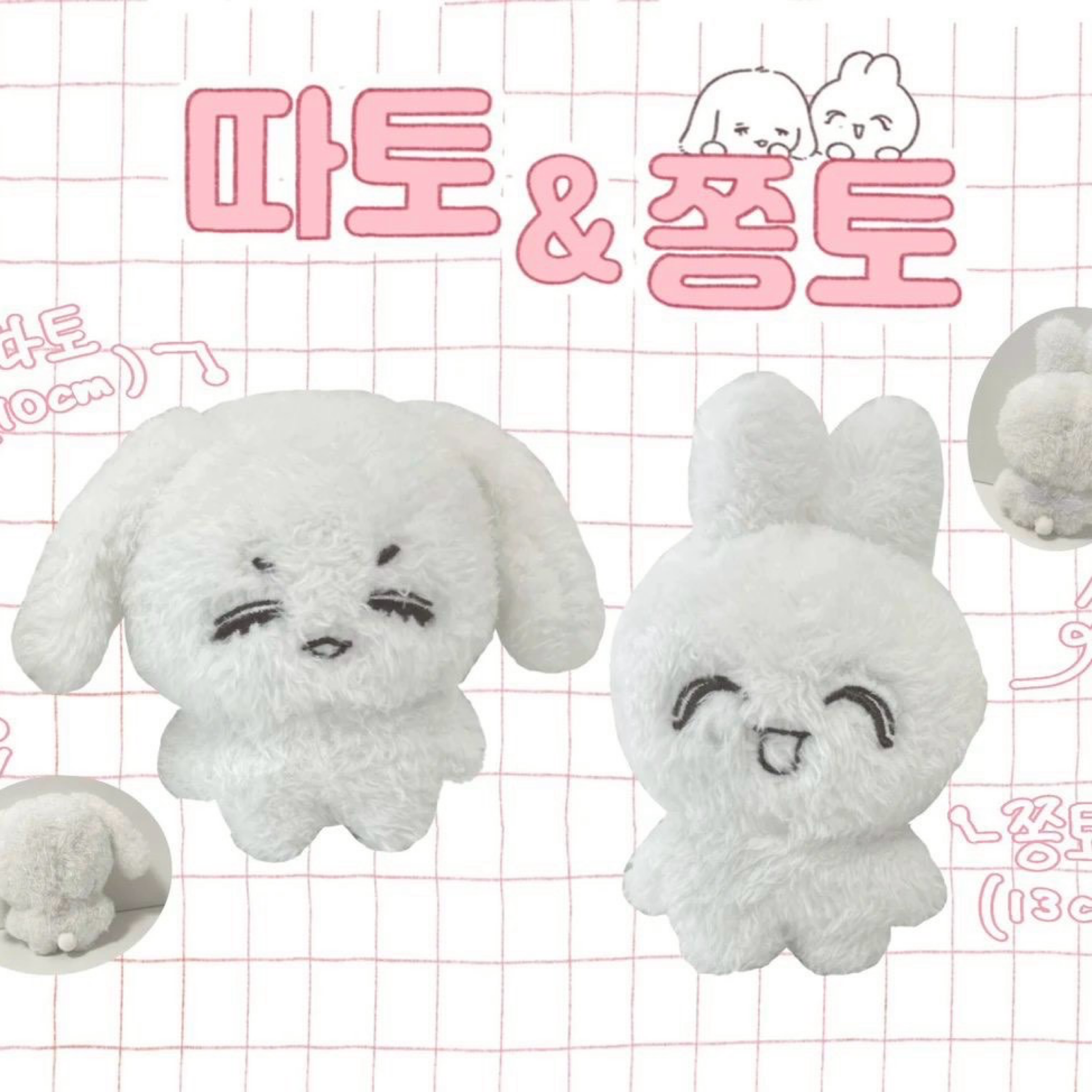  𝐒.𝐂𝐎𝐔𝐏𝐒 𝐗 𝐉𝐄𝐎𝐍𝐆𝐇𝐀𝐍 따토/쫑토 （含特典）