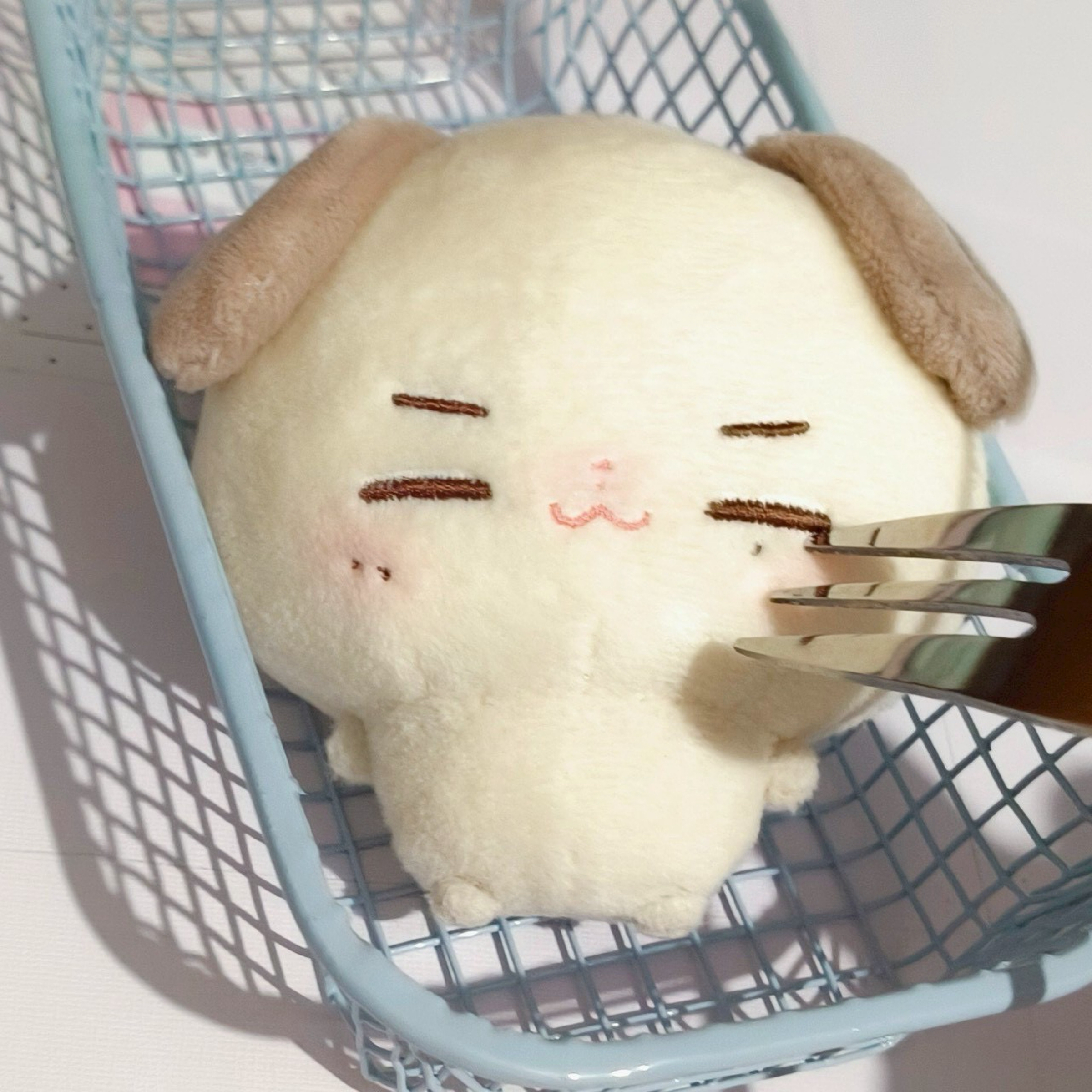 SVT DINO 康曼妞（含特典）