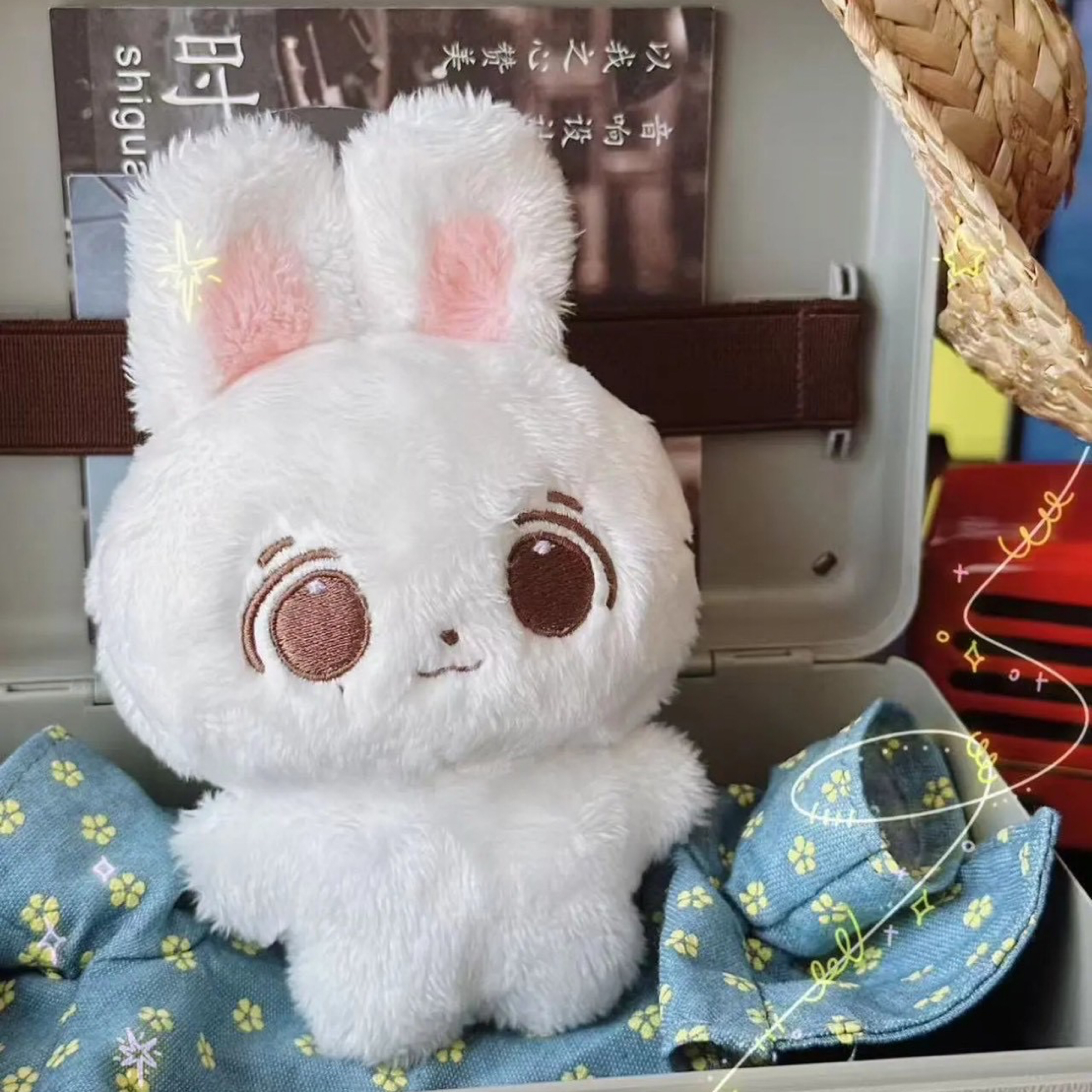 SVT JEONGHAN 囧寒兔