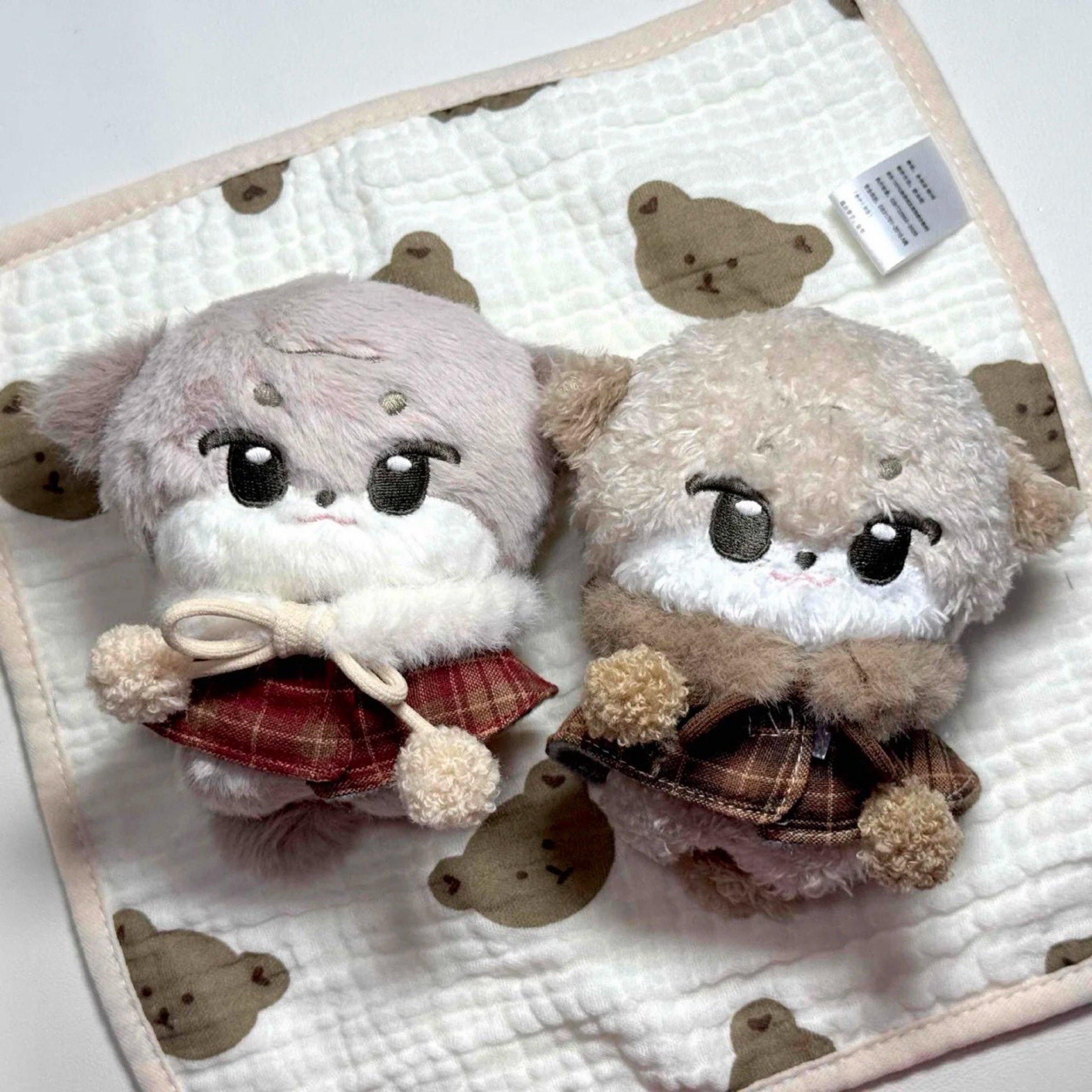 SVT DINO 獺囡囡（含特典）