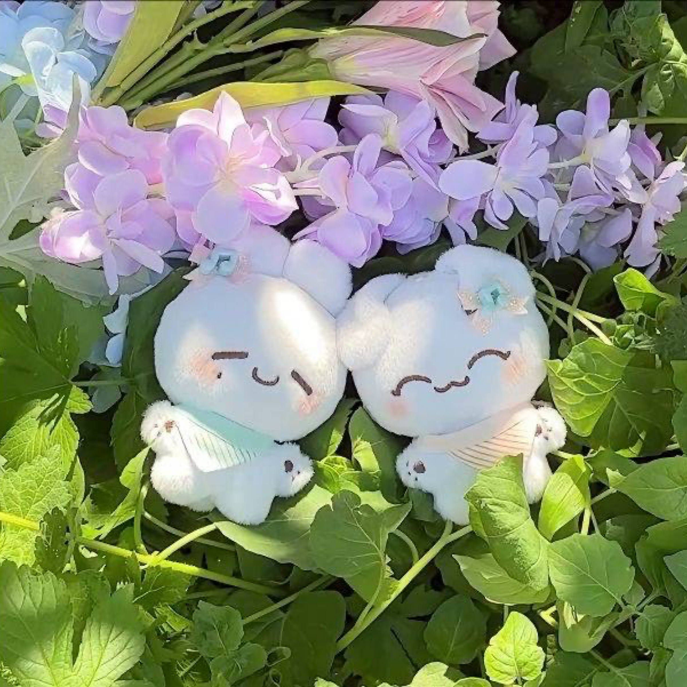 SVT 湯圓咻淨2.0（含特典）