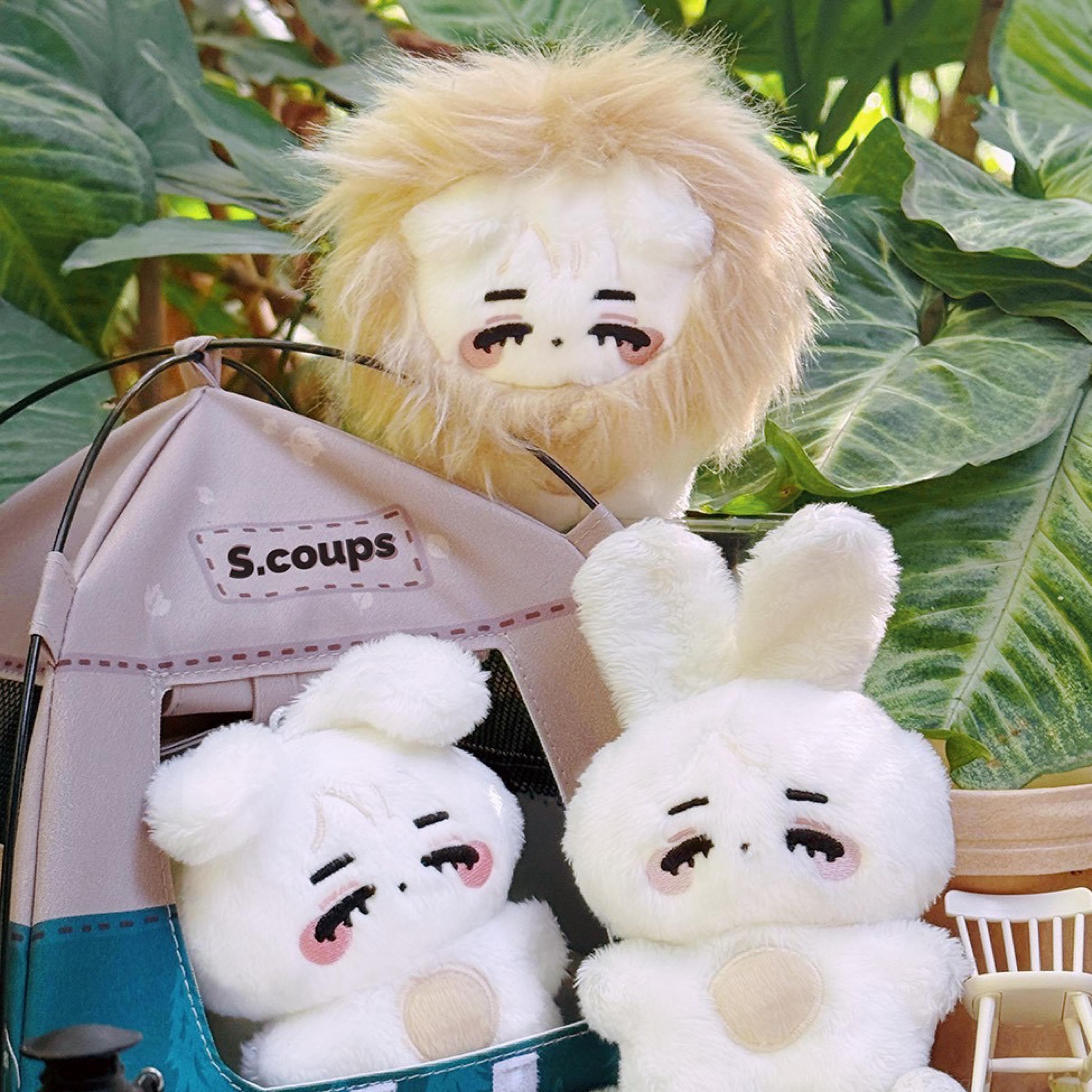 澈吧三合一生日特典—奶黃流心小澈包（含特典）