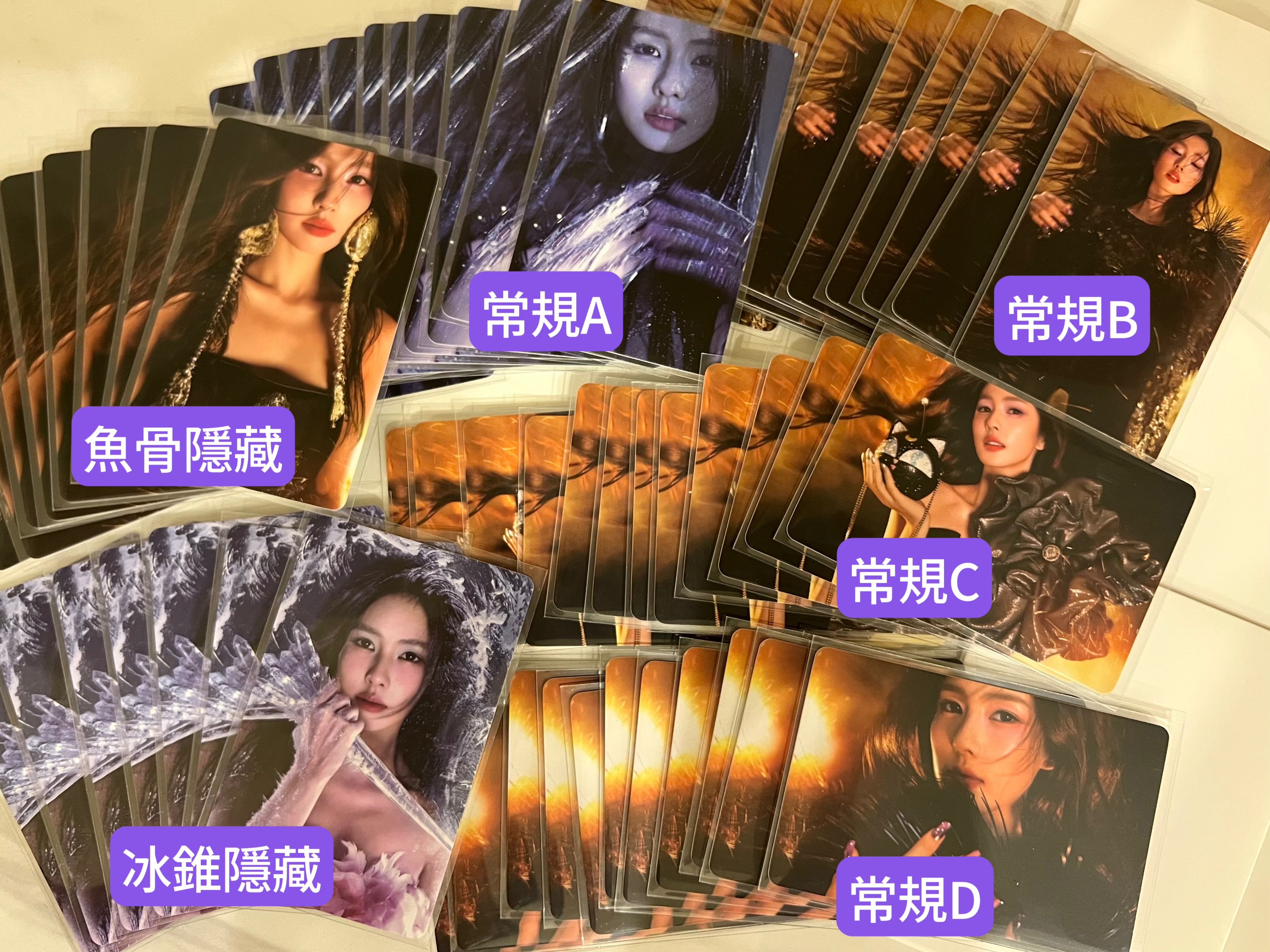 白鹿 費加羅2024.11月刊小卡