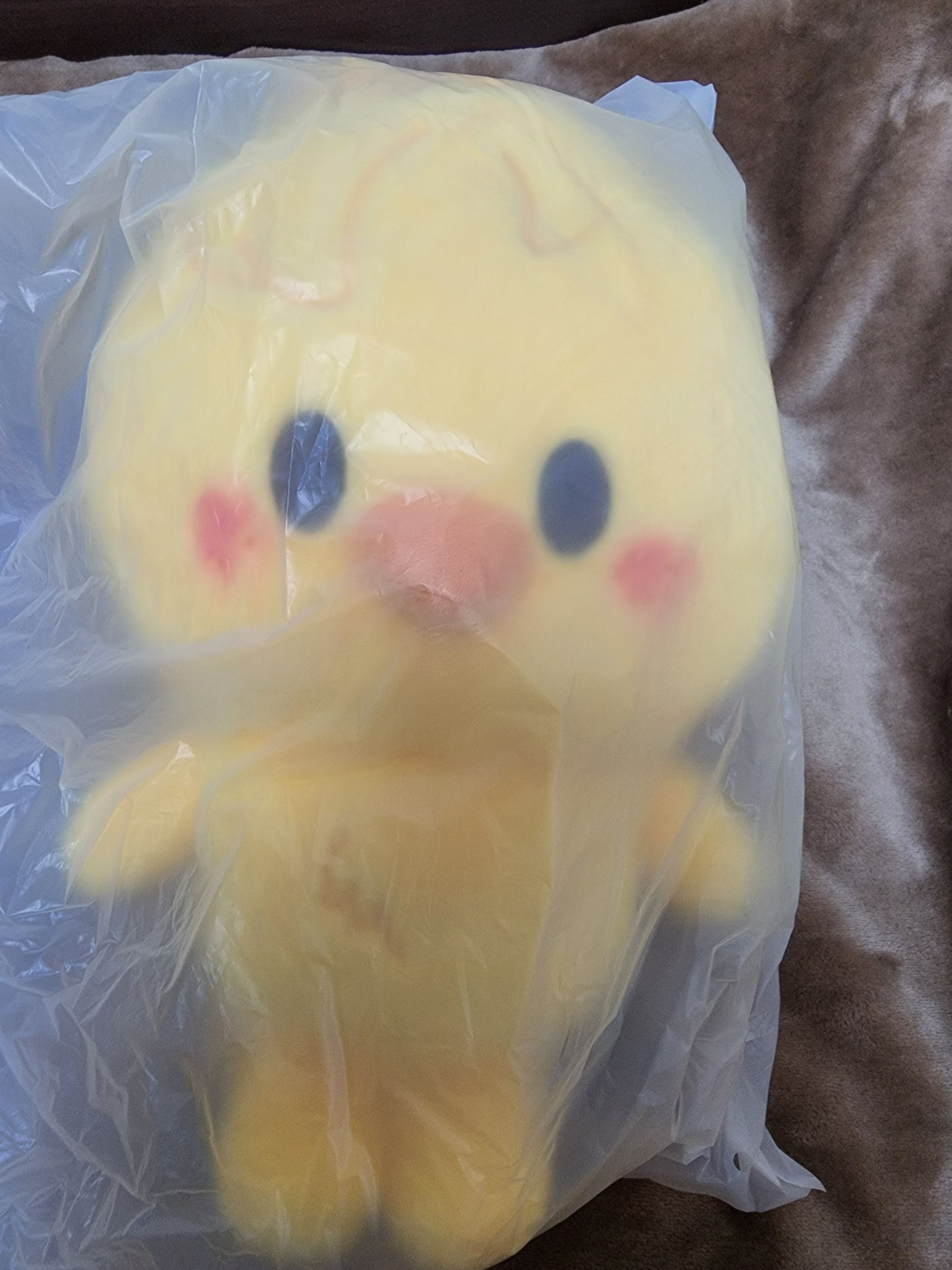 六期會員周邊