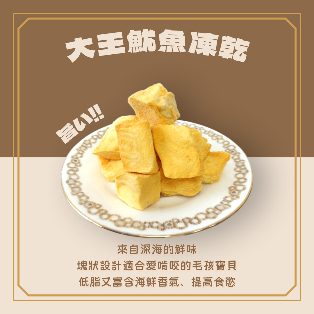 UMAMI頂級寵物鮮味系列【大王魷魚】