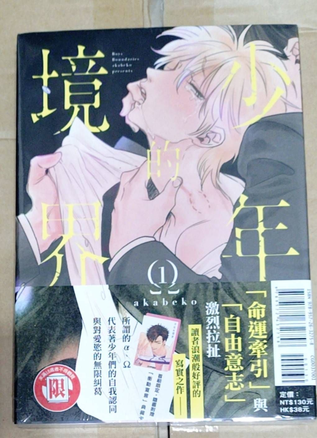 都全新未拆本:正太哥哥1 （首刷限定版）/成了鬼家人的他備受寵愛（首刷）/你喜歡漂亮男人嗎（首刷）