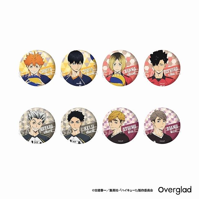 【神奇圈圈圈】現貨 Overglad 排球少年!! 圖像藝術 胸章收藏集 徽章 約56mm 全8種 單抽 隨機出貨