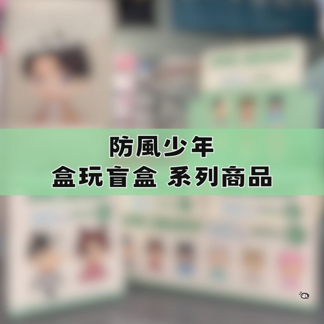 【神奇圈圈圈】現貨 防風少年 盒玩 盲盒 系列商品 單抽 隨機出貨
