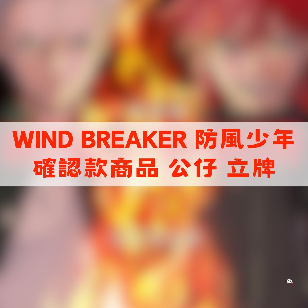 【神奇圈圈圈】現貨 WIND BREAKER 防風少年 確認款商品 公仔 立牌 周邊