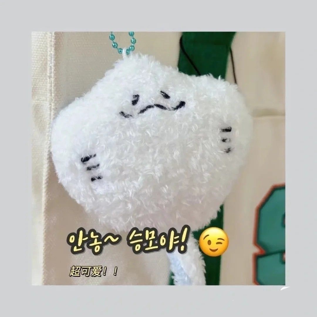 憨憨雙面萌魟魚