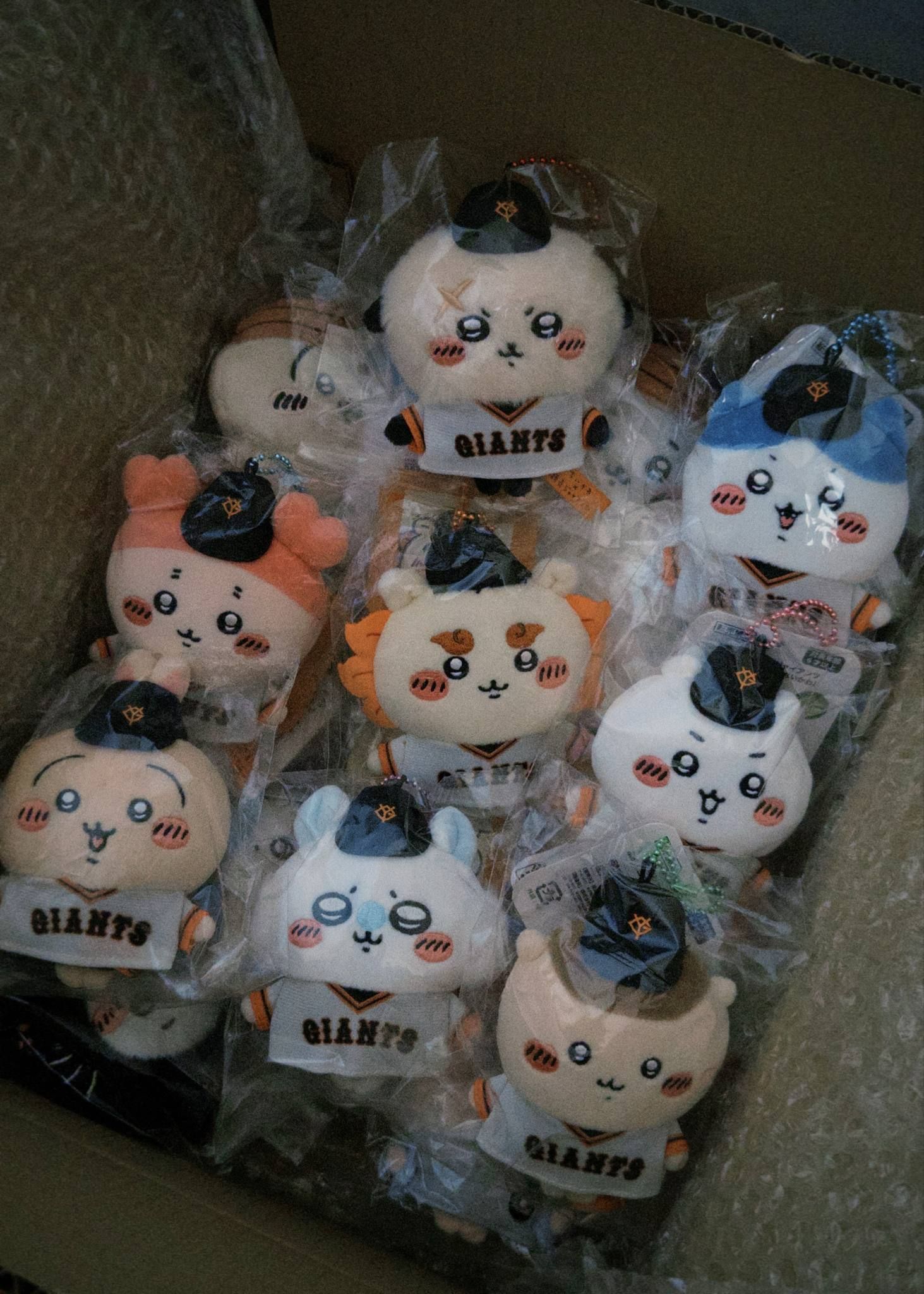畢業季吉伊卡哇盲包🎁