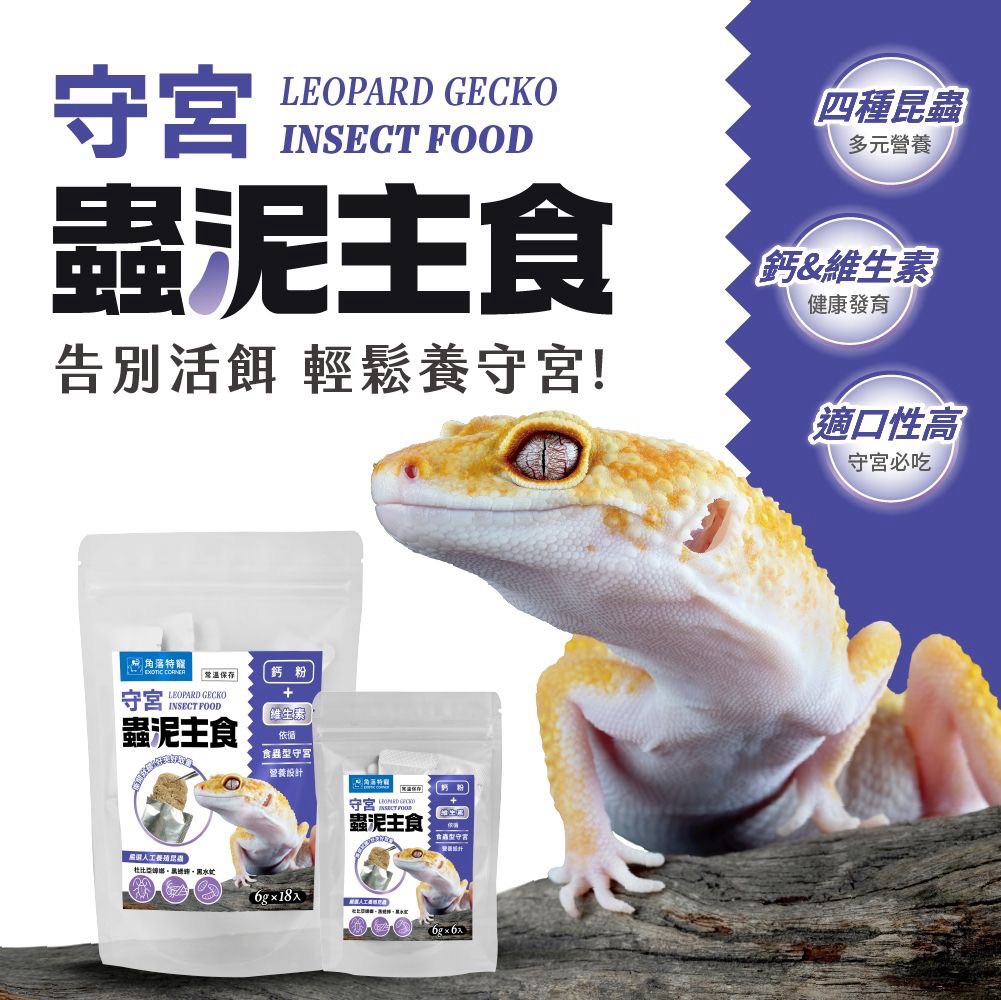 角落蟲泥主食