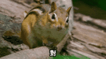 包材費