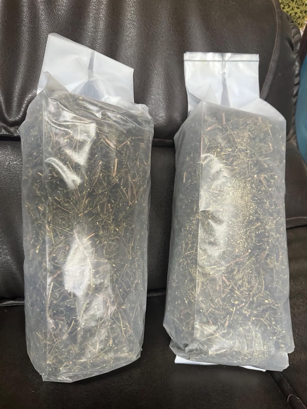 大壺茶-比賽茶枝-文山青茶