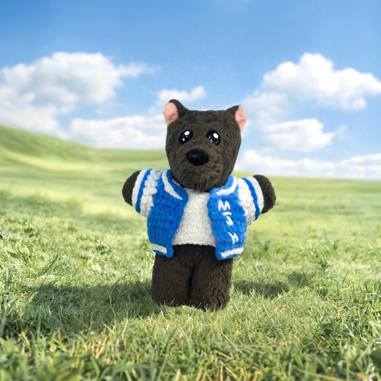 棒球外套（名字縮寫可聊聊更換，最多三個字母）