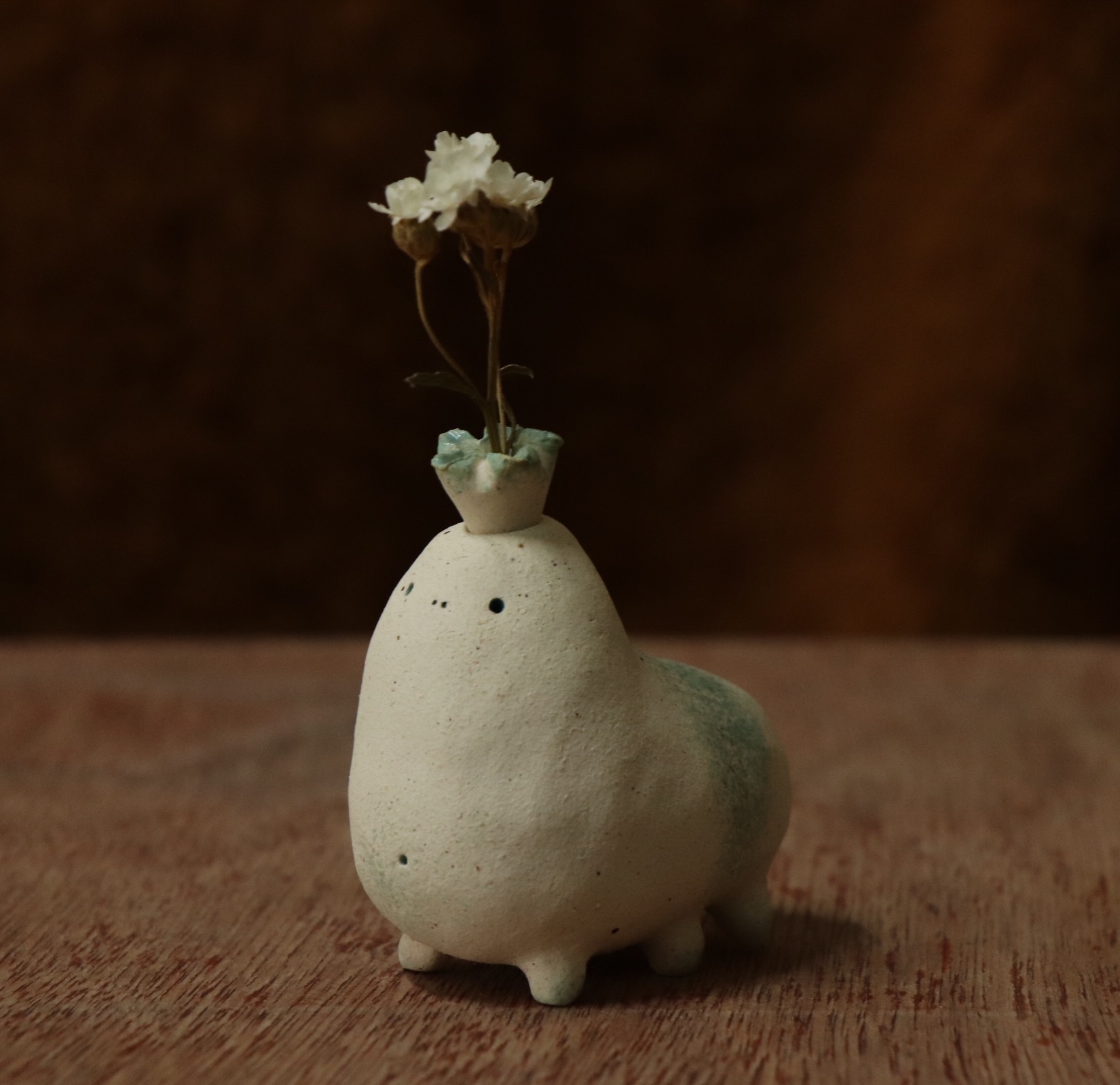 花筒家族 . 小萌寵