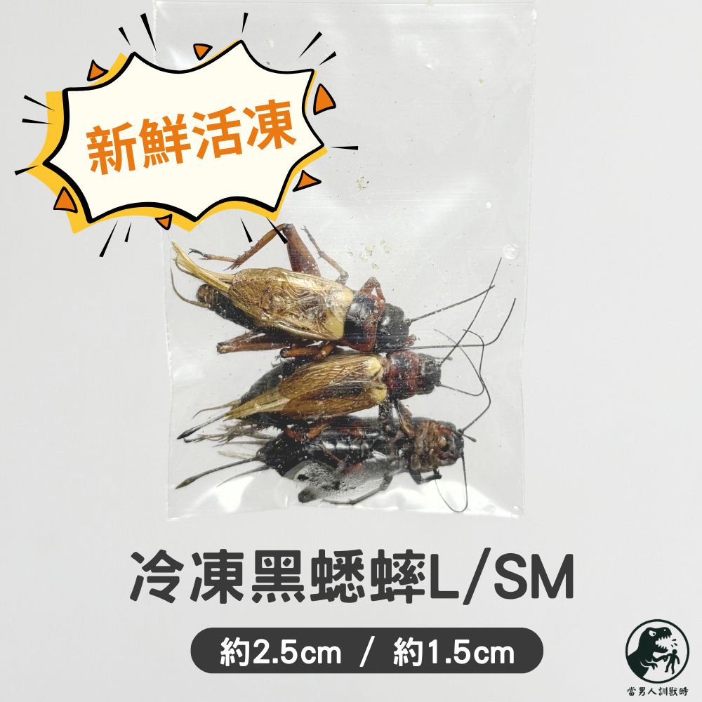 冷凍小包系列（3隻一包）🔺可混搭 / 最低量需購買十包🔺