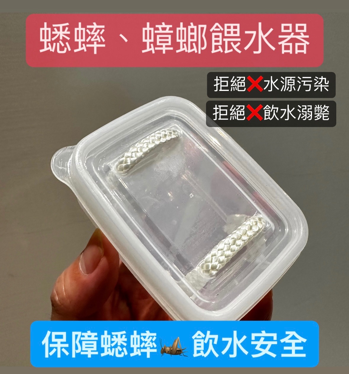 蟋蟀 杜比亞蟑螂 餵水器