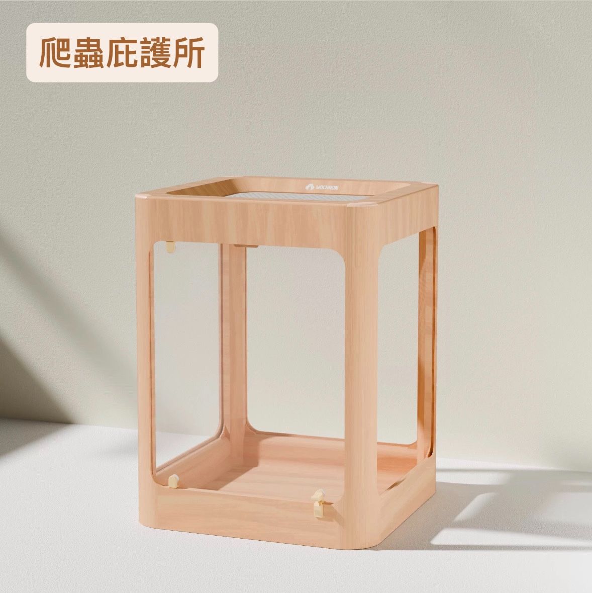 森林系爬蟲箱