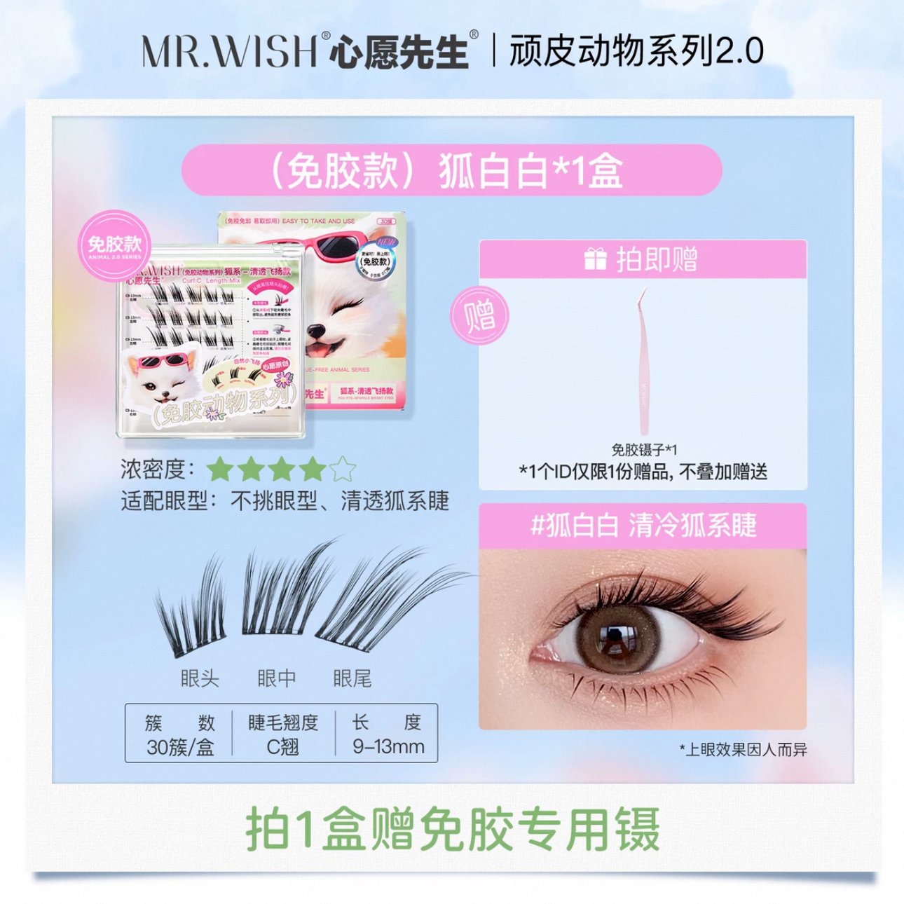 動物系列-狐白白