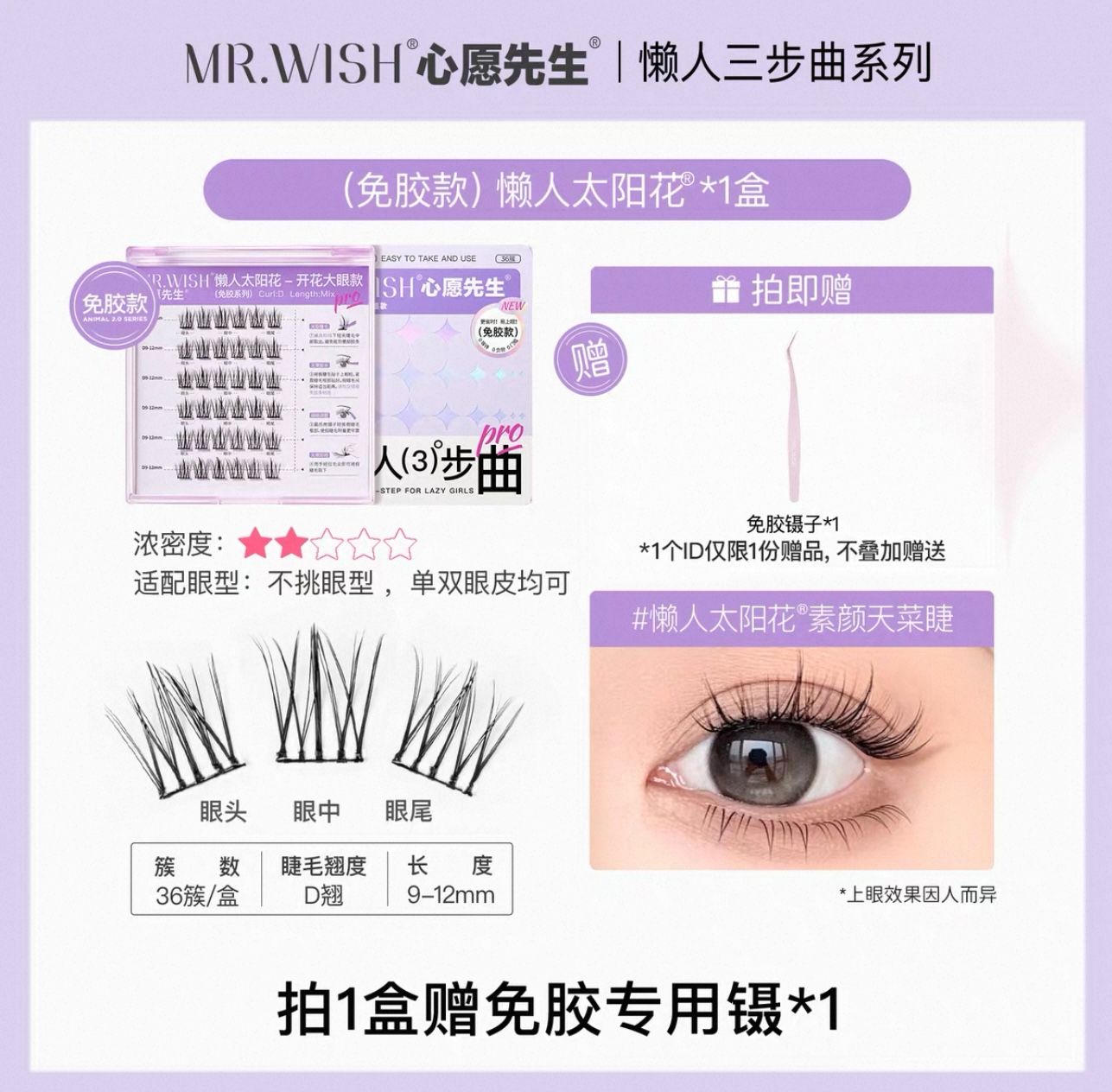 懶人三部曲-懶人太陽花