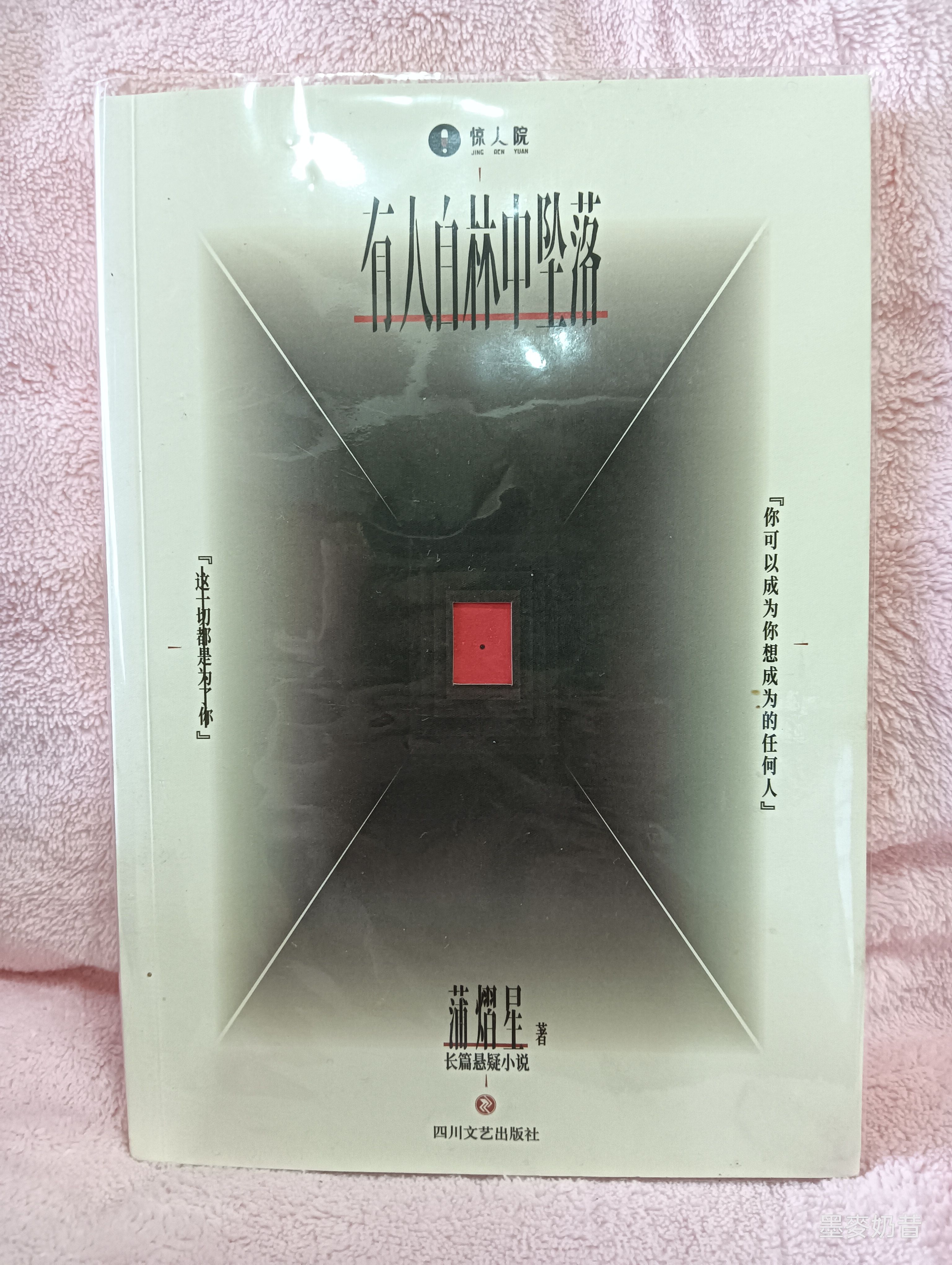 明星大偵探/名偵探學院/密室大逃脫 相關
