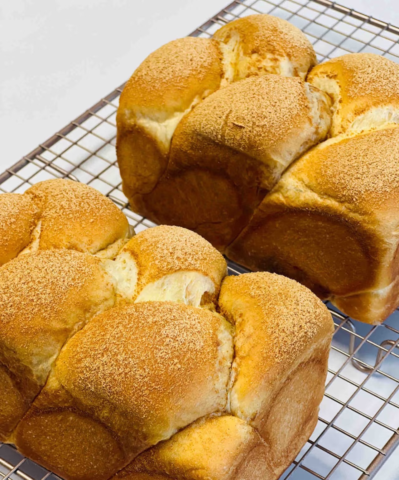 高蛋白豆漿豆酥吐司