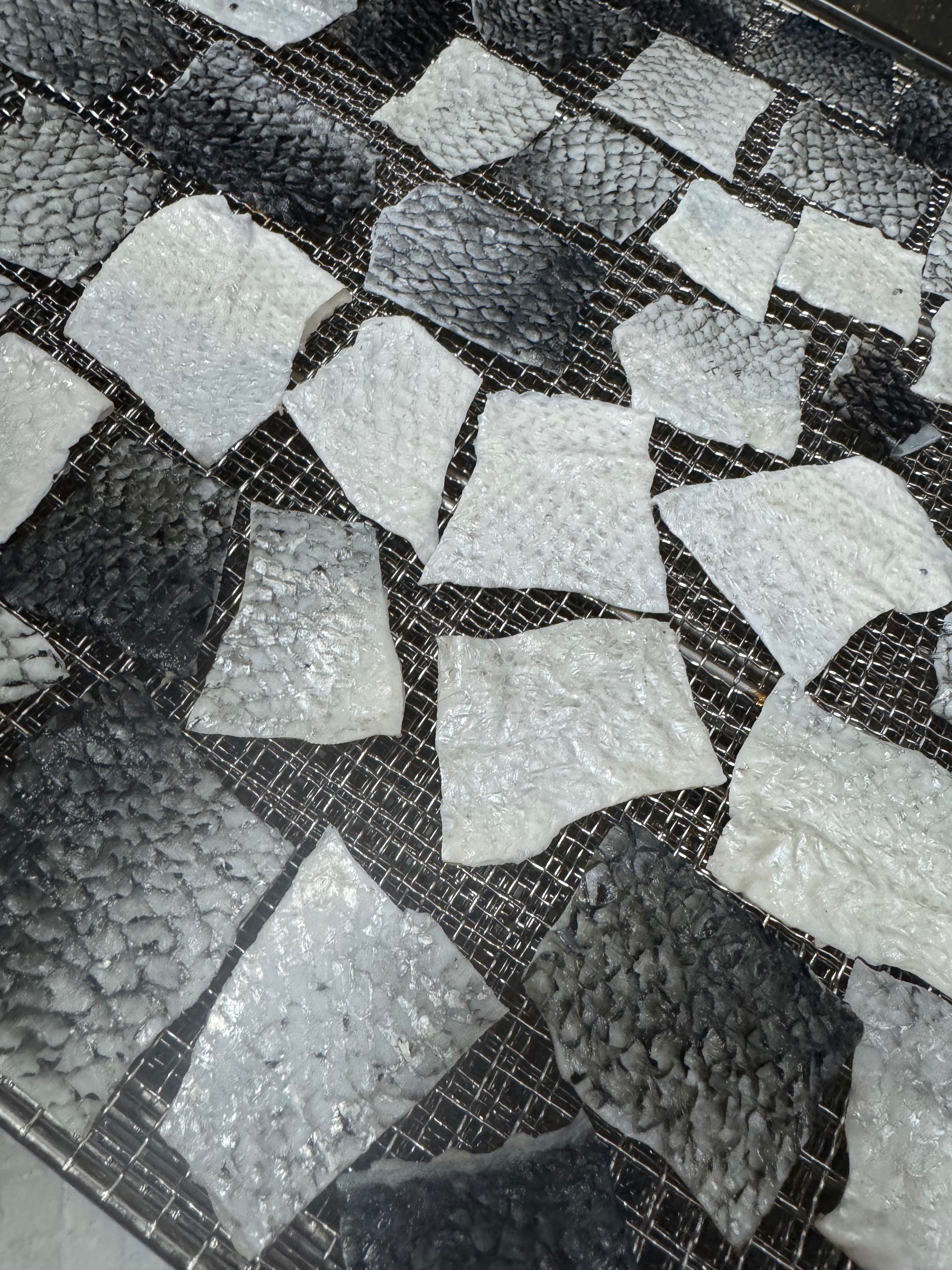 （咬咬系列）鮭魚魚皮