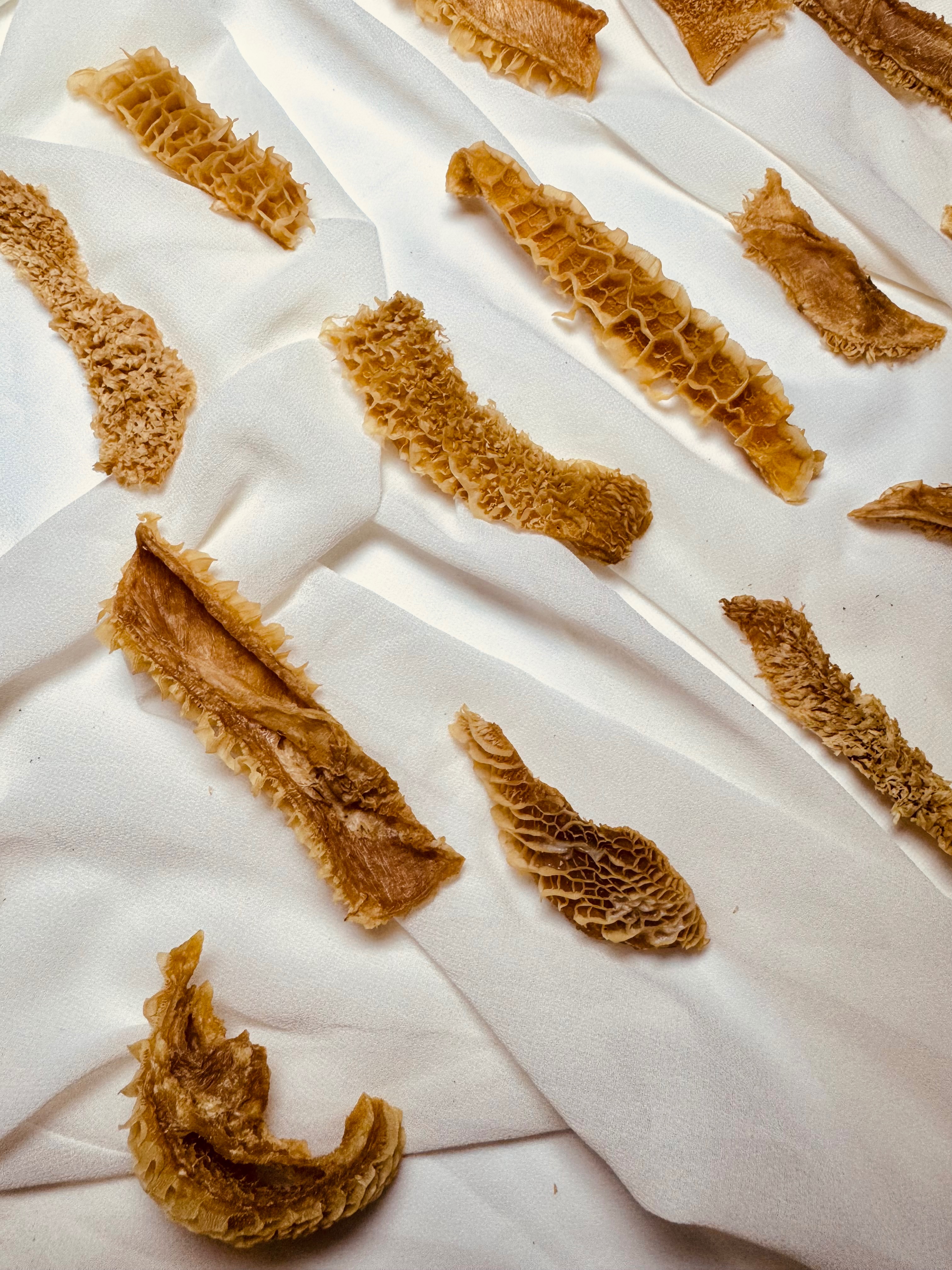 （耐咬系列）蜂巢牛肚