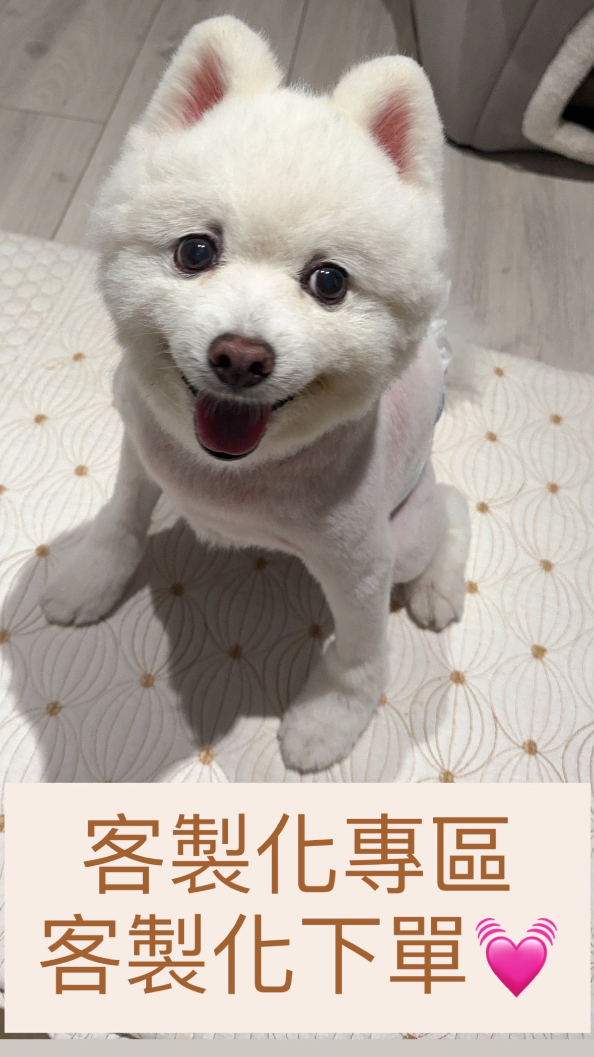 （直接密闆討論會直接在快速結帳區完成訂單😊）客製化專區