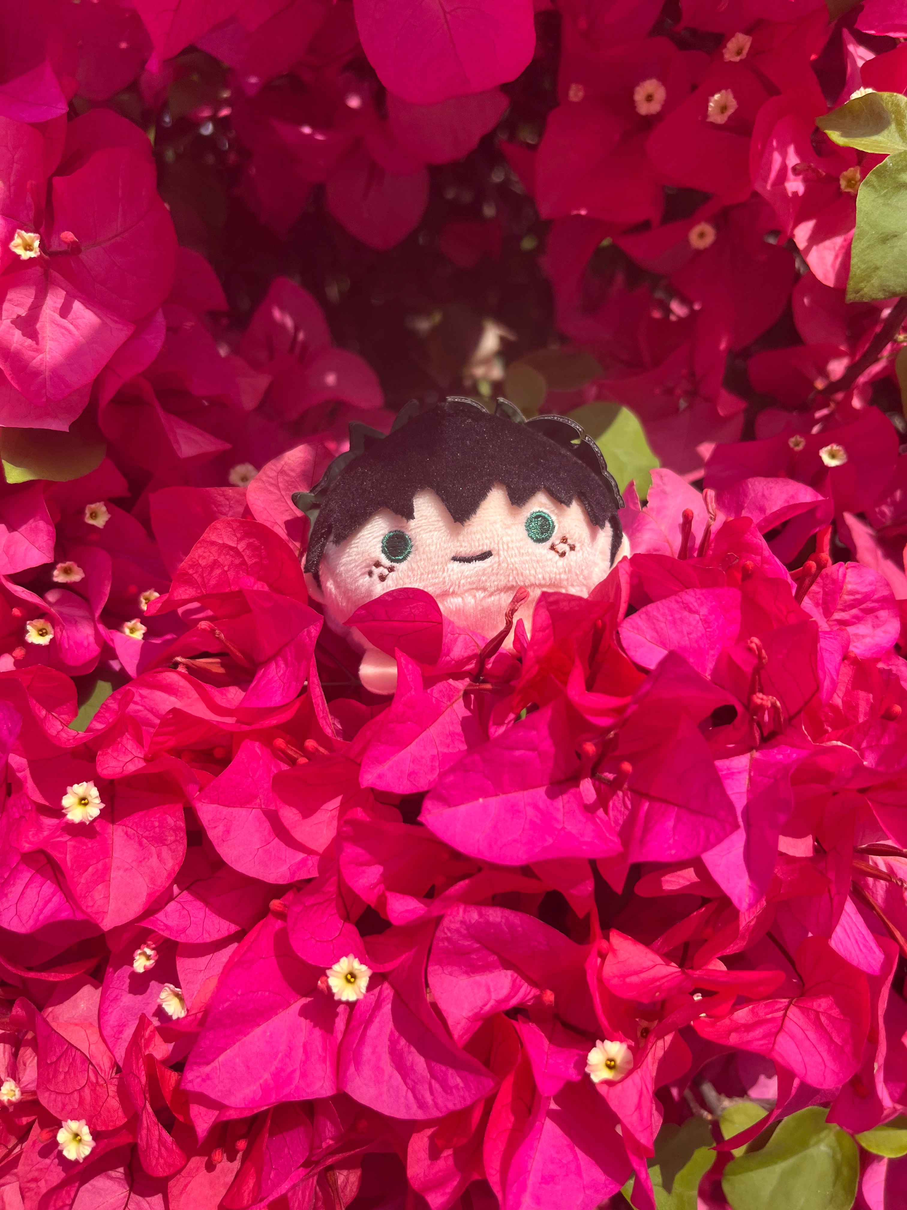 注意！固定使用的是二手紙板