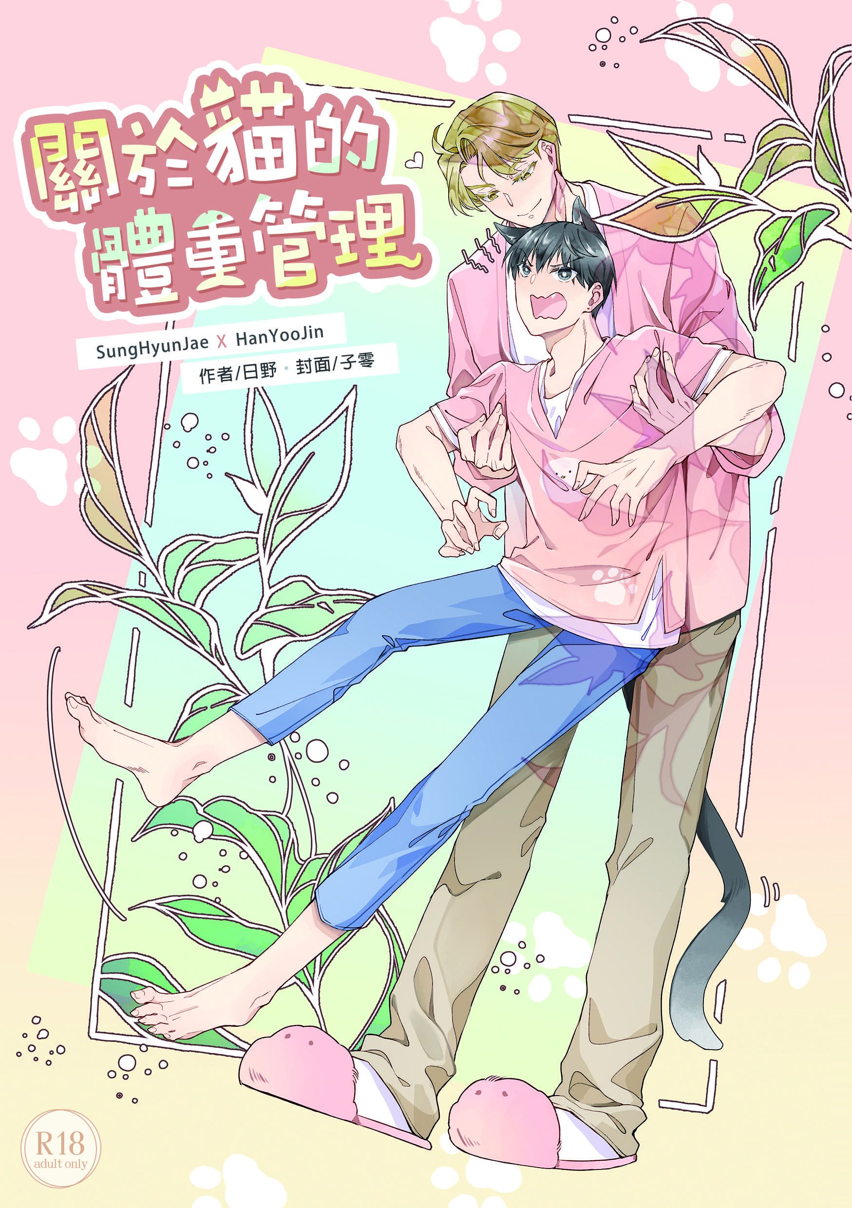 【S級】關於貓的體重管理