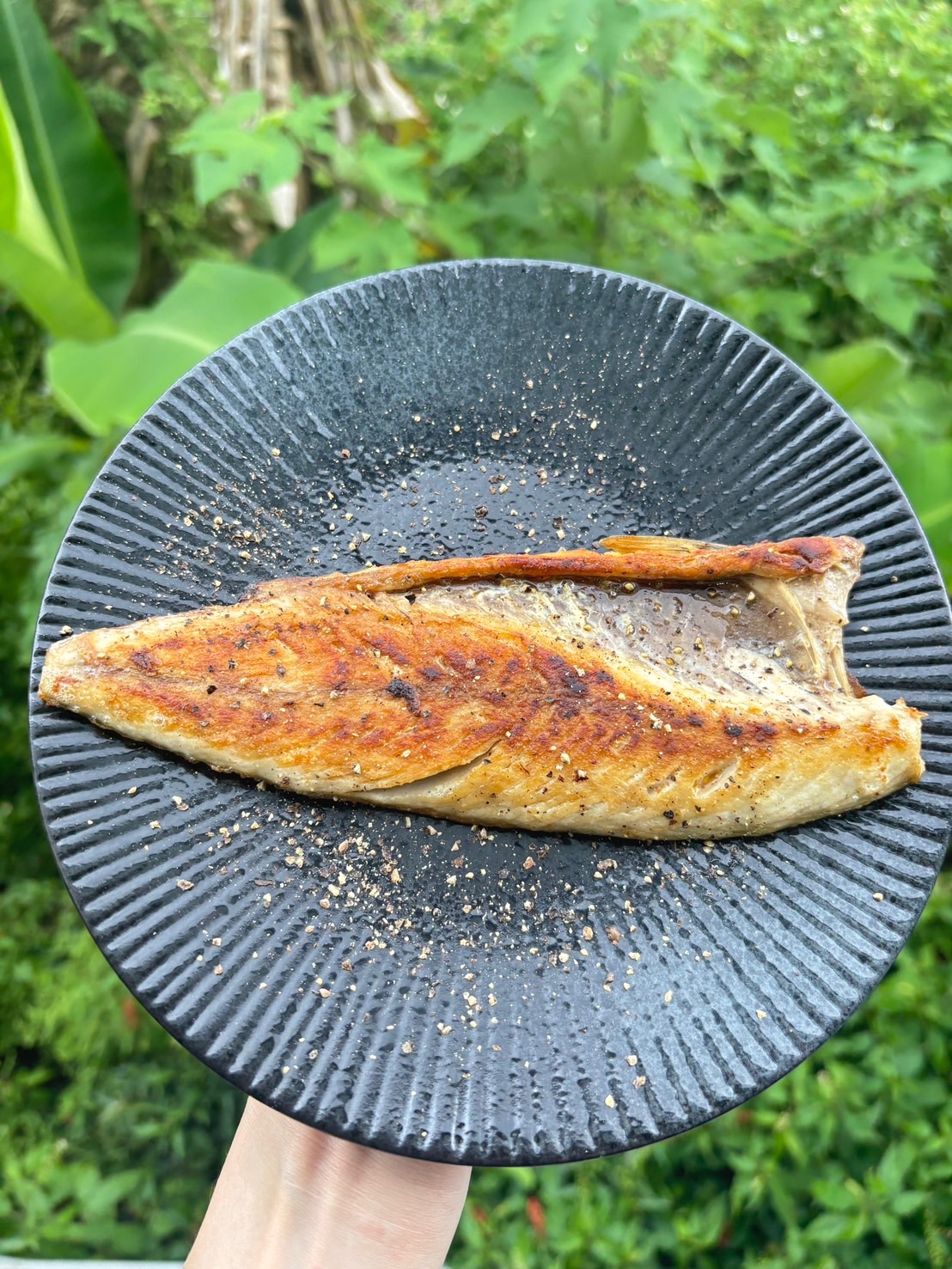 鮮嫩鯖魚片