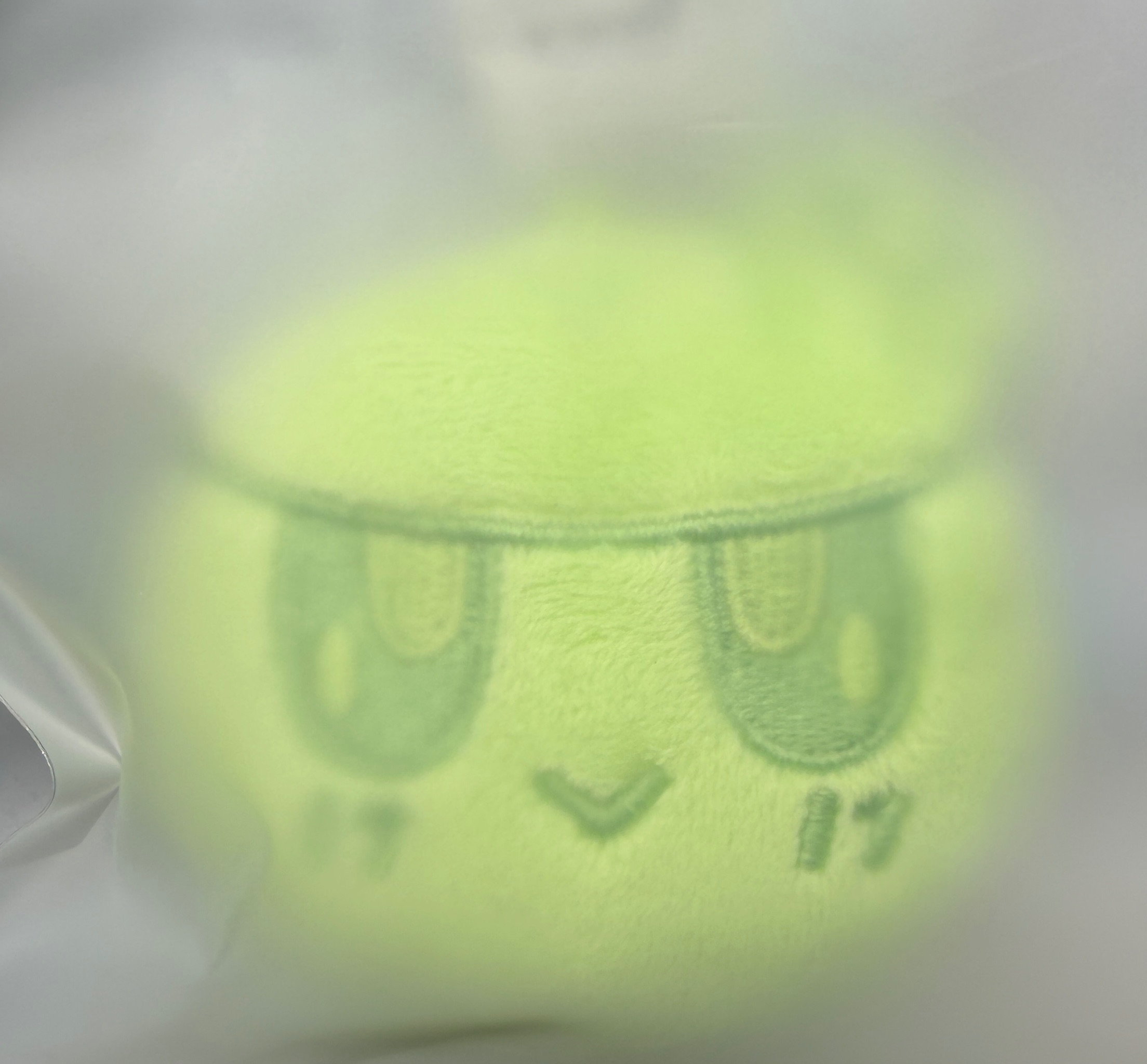 Seventeen 曼谷場限定 綠色蹦蹦