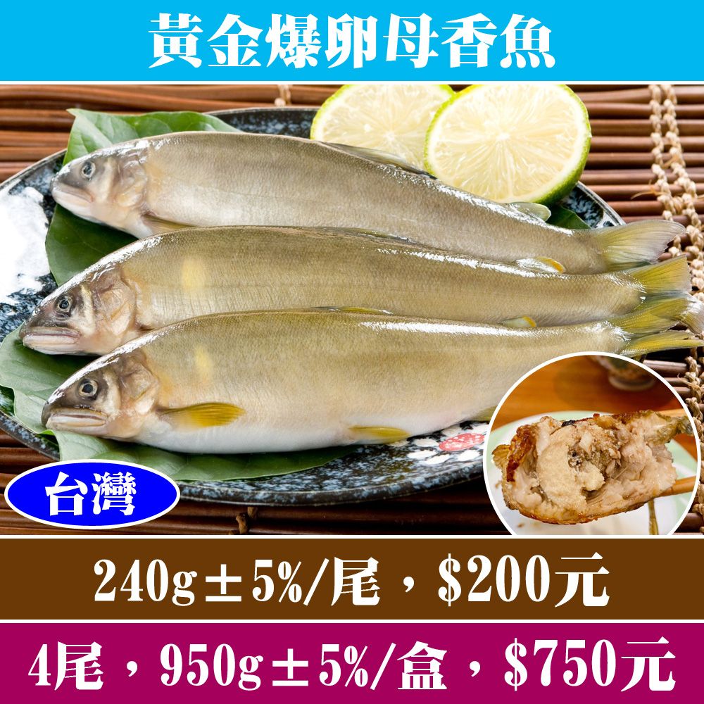 【立揚水產】黃金爆卵母香魚