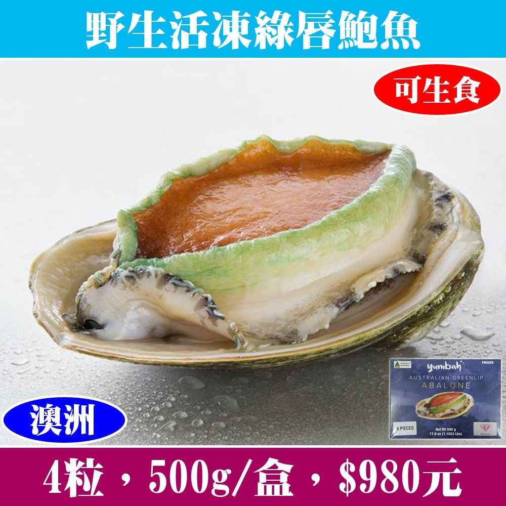 【立揚水產】澳洲生食級活凍綠唇鮑魚