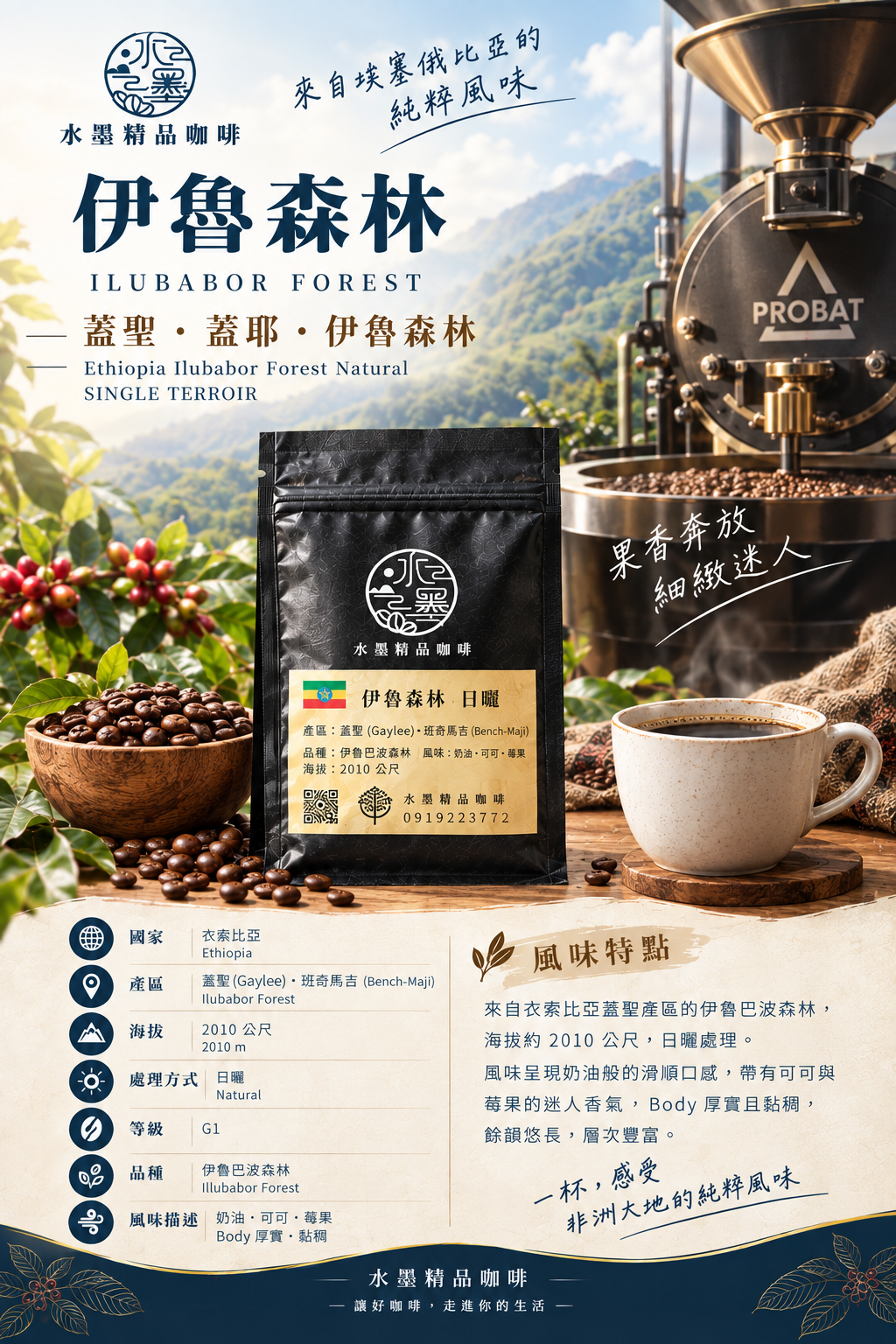 衣索比亞🇪🇹藝妓村 伊魯森林 日曬-綠標