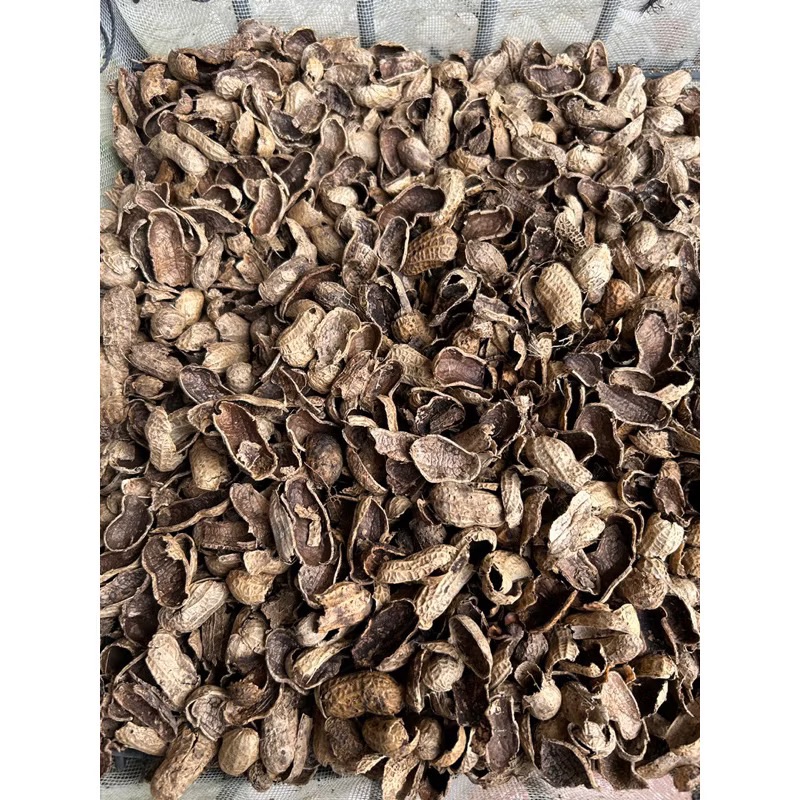 蘭花介質 花生殼